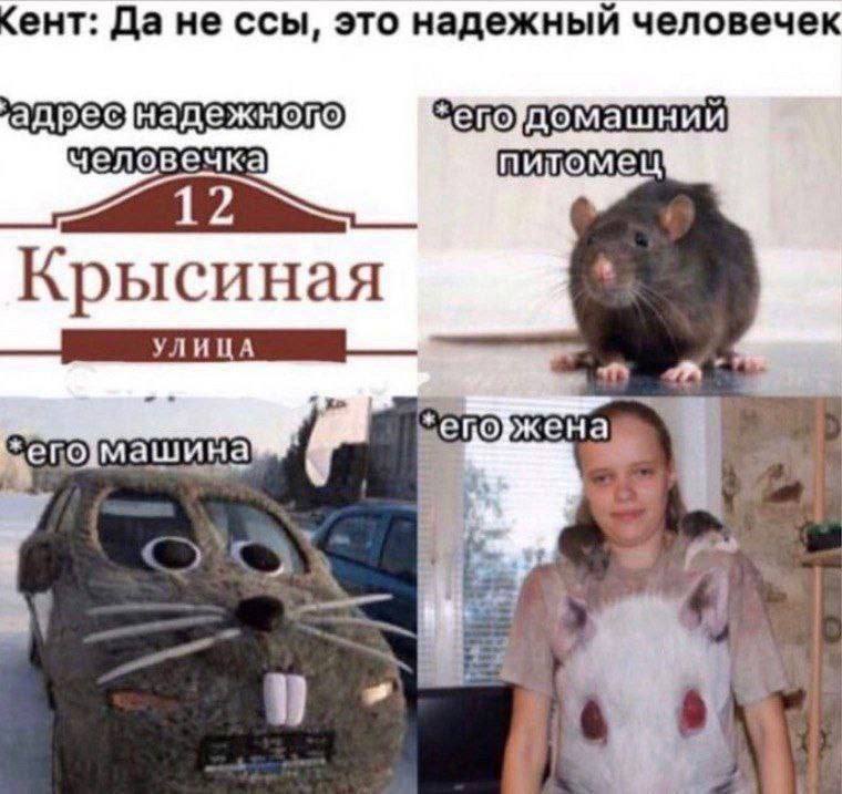 Надежный человек Крысян Г.А.